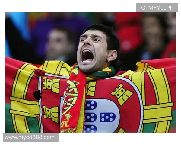 《足球狂热:全球球迷如何追随偶像的激情与梦想》 《足球狂热:全球球迷如何追随偶像的激情与梦想》